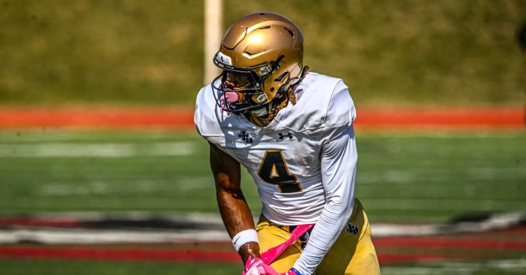 D3 football